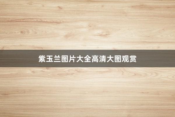 紫玉兰图片大全高清大图观赏
