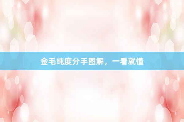 金毛纯度分手图解，一看就懂